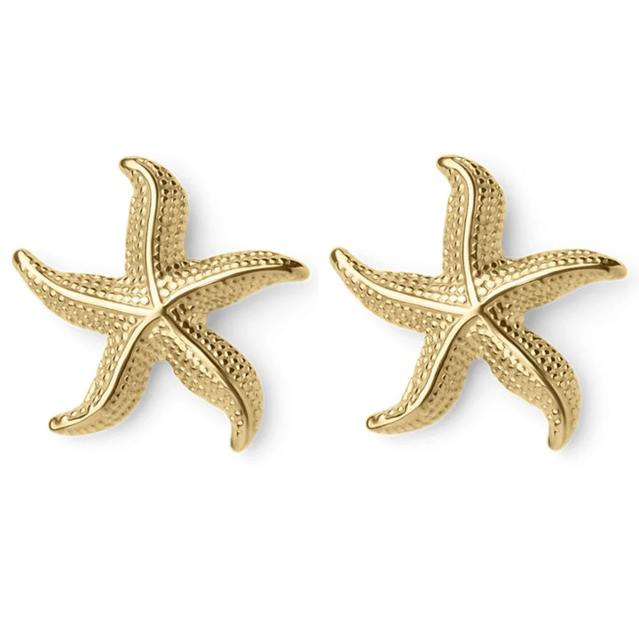 Curved Starfish Earrings with Elegant Design For Women