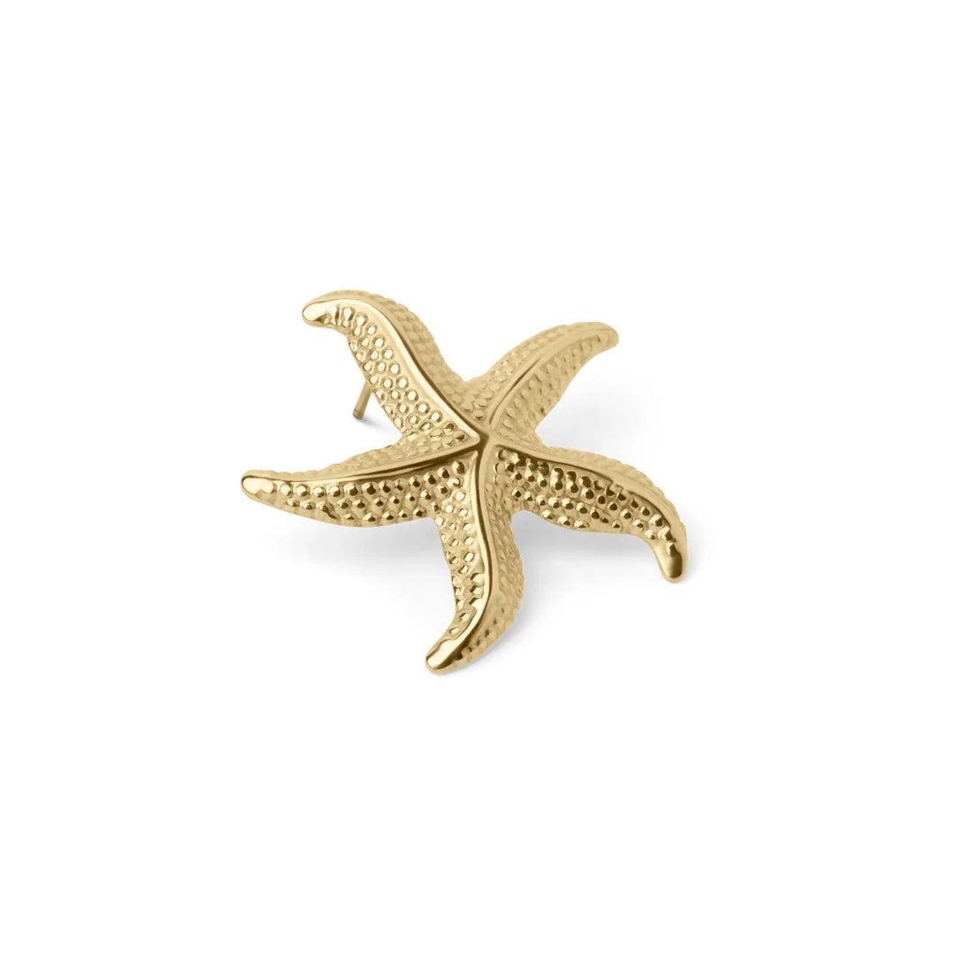 Curved Starfish Earrings with Elegant Design For Women