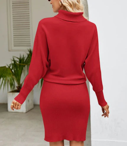 Elegant Turtleneck Sweater Dress For Women